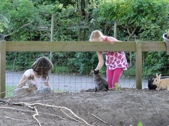 2011HWK 023.jpg